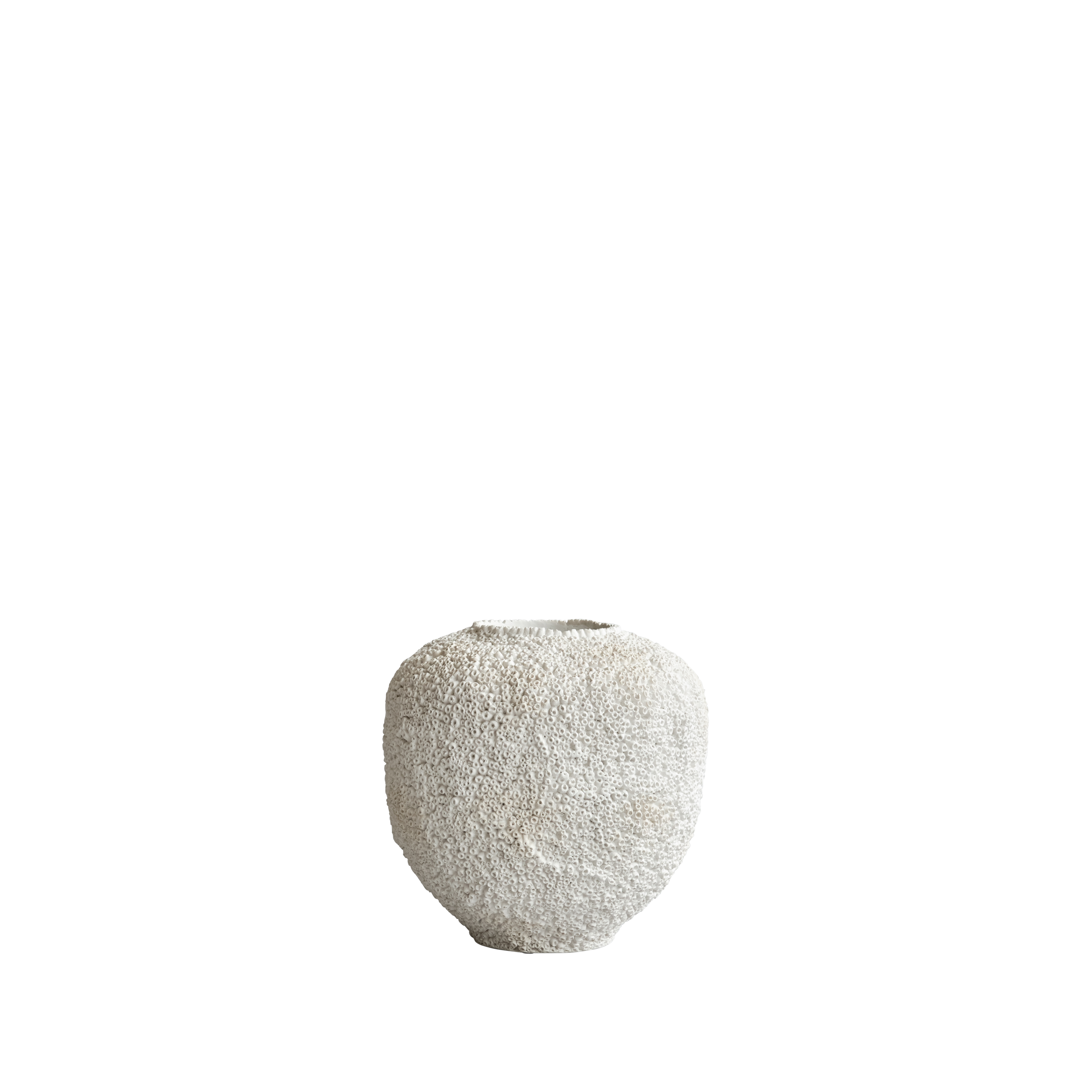 Sunao Vase, Medio in Beehive finish, featuring a detailed coral-like texture in off-white with a rounded form against a black background.